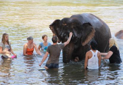 ©Pascale M. - Tous Droits Réservés Voyage en Thailande de Pascale