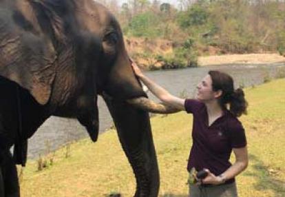 ©Sybill L. - Tous Droits réservés Voyage en Thailande de Sybill et Rino