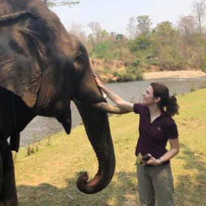©Sybill L. - Tous Droits réservés Voyage en Thailande de Sybill et Rino