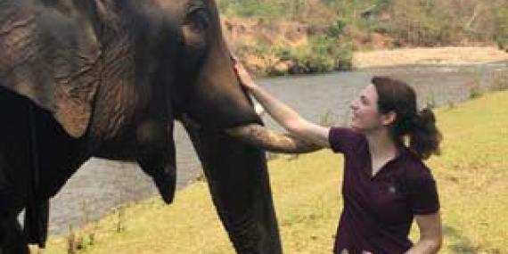 ©Sybill L. - Tous Droits réservés Voyage en Thailande de Sybill et Rino
