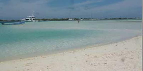 ©Marina et Pascal V. - Tous Droits réservés Voyage au Venezuela de Marina et Pascal