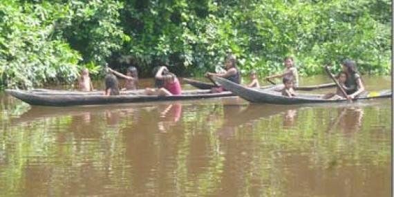 ©Marina et Pascal V. - Tous Droits réservés Voyage au Venezuela de Marina et Pascal