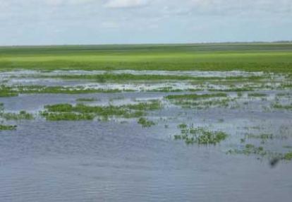 ©Marina et Pascal V. - Tous Droits réservés Voyage au Venezuela de Marina et Pascal
