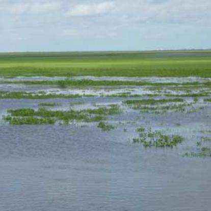 ©Marina et Pascal V. - Tous Droits réservés Voyage au Venezuela de Marina et Pascal